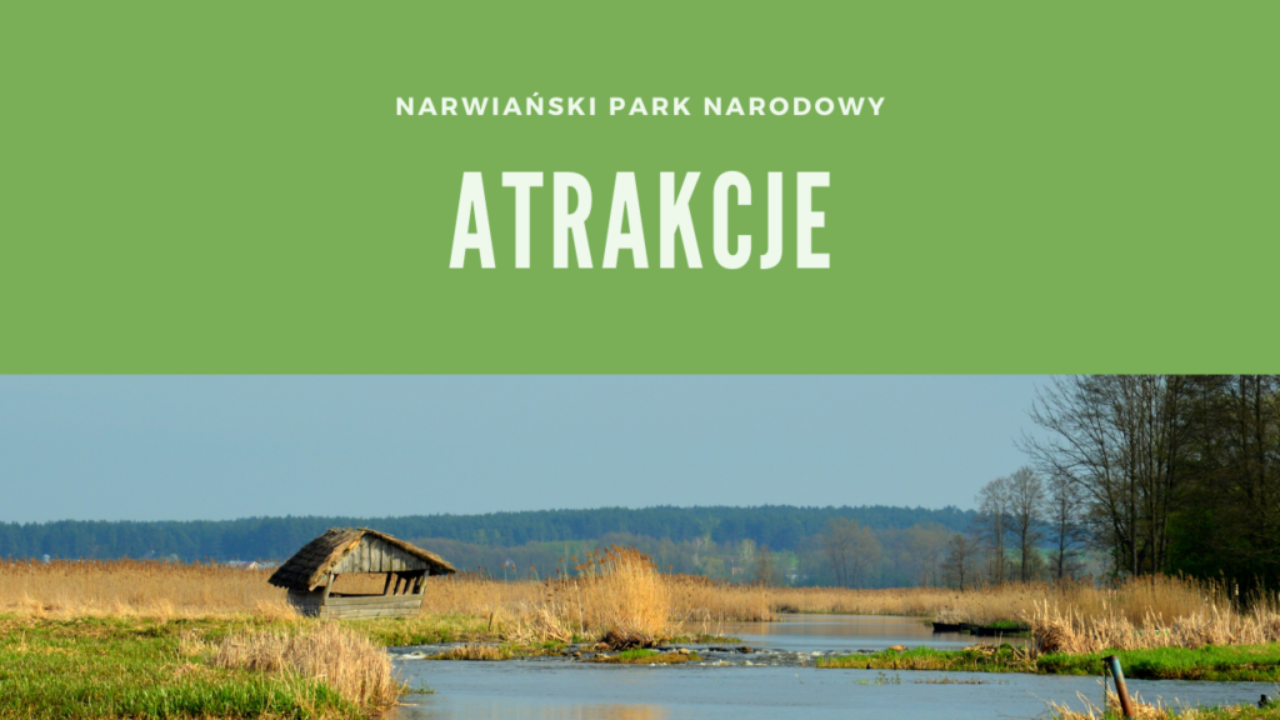 Narwiański Park Narodowy Atrakcje